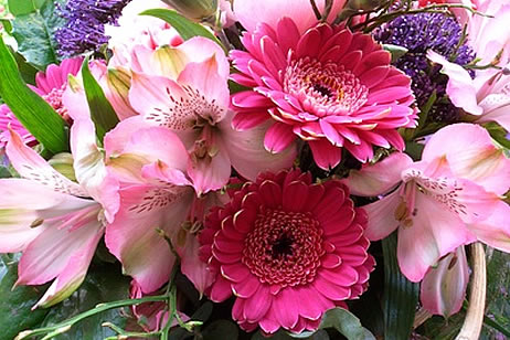 Blumen