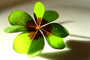 Horoskop Gl�ck